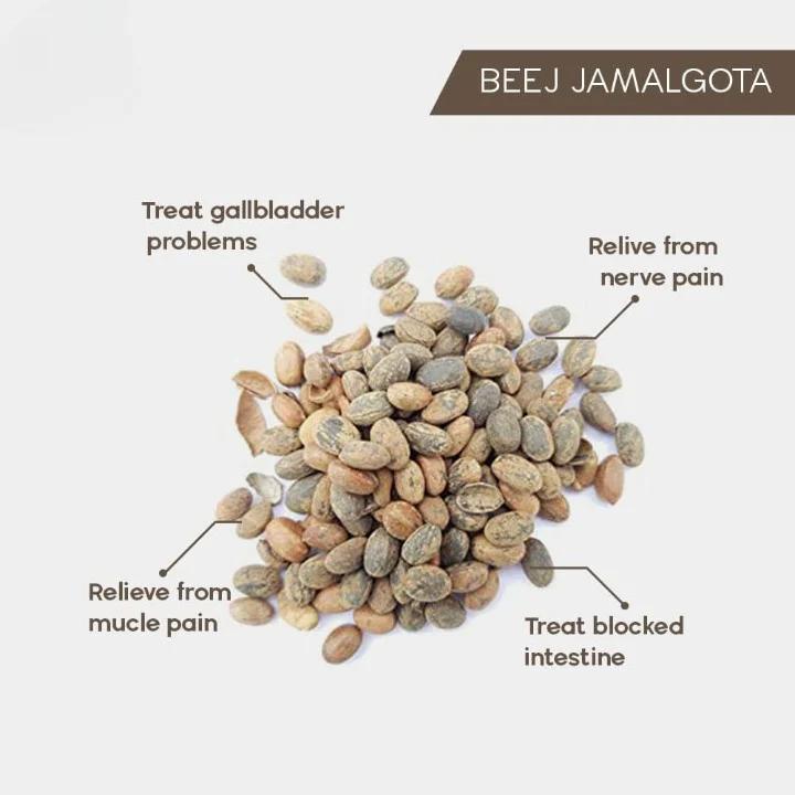 🌿 Jamalgota Ayurvedic Hair Growth Powder| Buy 1 Get 1 Free | ⭐️⭐️⭐️⭐️ 4.9/5 Reviews